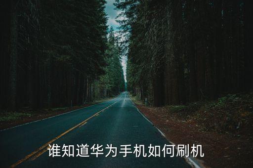 華為刷機(jī)工具，求解華為刷機(jī)手機(jī)軟件 推薦一個(gè)