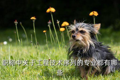 電氣自動化和暖通工程師