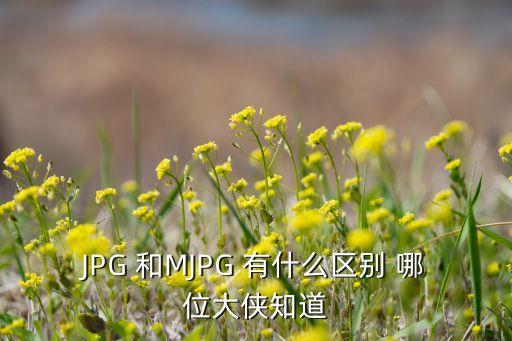 JPG 和MJPG 有什么區(qū)別 哪位大俠知道