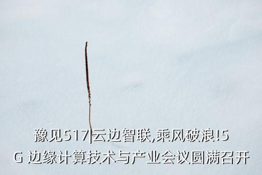 豫見517|云邊智聯(lián),乘風(fēng)破浪!5G 邊緣計(jì)算技術(shù)與產(chǎn)業(yè)會(huì)議圓滿召開