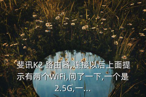 斐訊路由器型號數(shù)據(jù),斐訊智能路由器k2 型號:psg1218