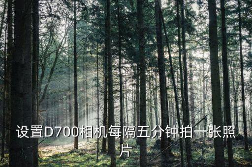 尼康d700怎么自動拍攝,尼康D700怎么錄像