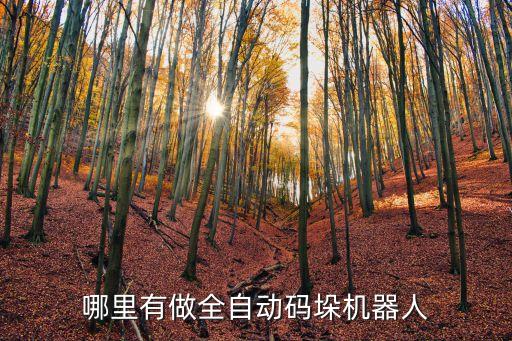 振超自動(dòng)化設(shè)備有限公司,蘇州自動(dòng)化設(shè)備公司的名字