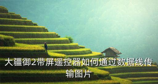大疆有數(shù)據(jù)線嗎,大疆御2車載充電器四根線分別供電源和負(fù)荷
