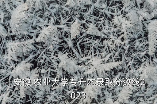  安徽 農(nóng)業(yè)大學(xué)專升本錄取分?jǐn)?shù)線2023