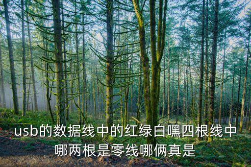 usb的數(shù)據(jù)線中的紅綠白嘿四根線中哪兩根是零線哪倆真是