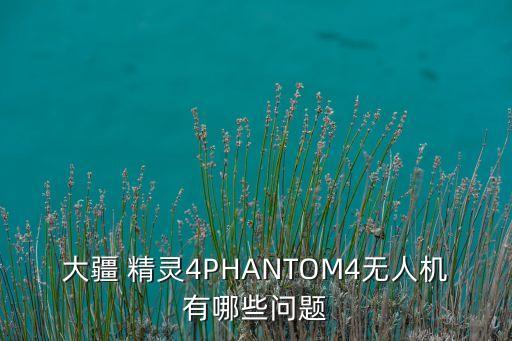 大疆 精靈4PHANTOM4無(wú)人機(jī)有哪些問(wèn)題