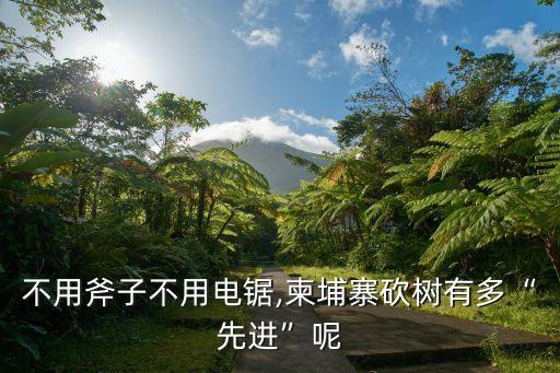 不用斧子不用電鋸,柬埔寨砍樹有多“先進(jìn)”呢