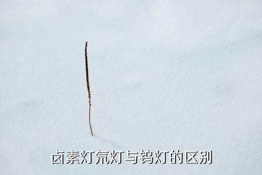 鹵素?zé)綦疅襞c鎢燈的區(qū)別