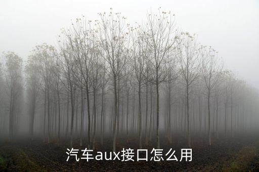 汽車aux接口怎么用