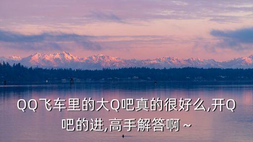 大q吧,飛車(chē)大黃蜂和大q吧優(yōu)缺點(diǎn)