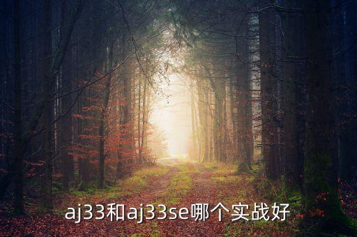 333se，aj33和aj33se哪個(gè)實(shí)戰(zhàn)好