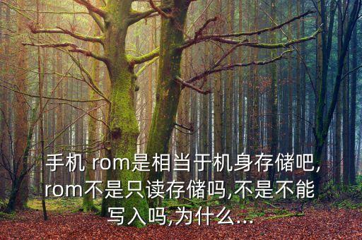  手機(jī) rom是相當(dāng)于機(jī)身存儲(chǔ)吧, rom不是只讀存儲(chǔ)嗎,不是不能 寫入嗎,為什么...