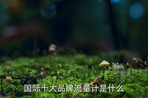 國(guó)際十大品牌流量計(jì)是什么
