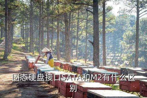 sata固態(tài)硬盤，固態(tài)硬盤接口SATA和M2有什么區(qū)別