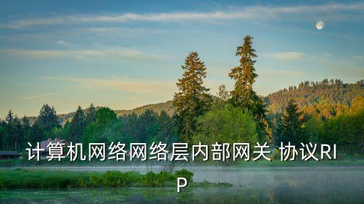 rip路由協(xié)議,RIP路由協(xié)議將什么度量值視為無窮?