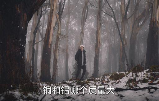 銅和鋁哪個(gè)質(zhì)量大