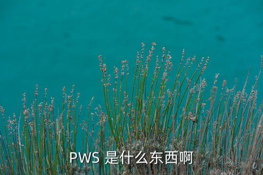 pws，pws是什么文件格式
