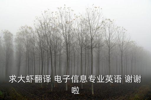 電子信息英文，電子信息工程 英語專業(yè)翻譯