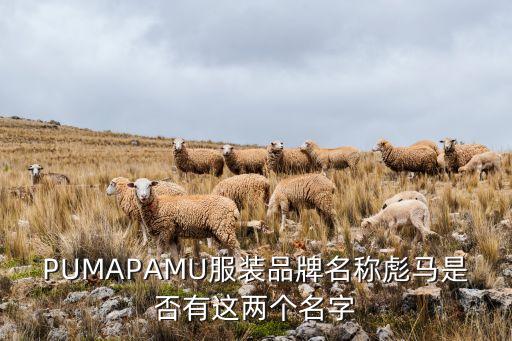 PUMAPAMU服裝品牌名稱彪馬是否有這兩個(gè)名字