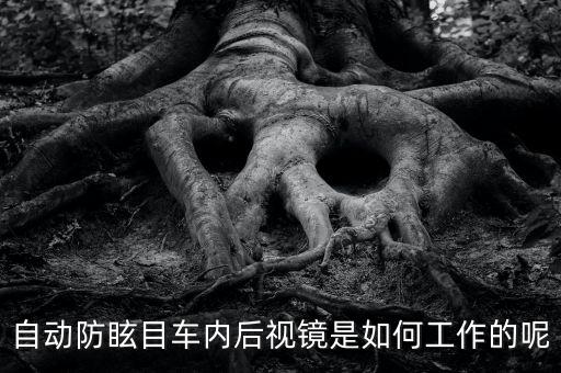防眩目后視鏡原理，自動(dòng)防眩目車(chē)內(nèi)后視鏡是如何工作的呢
