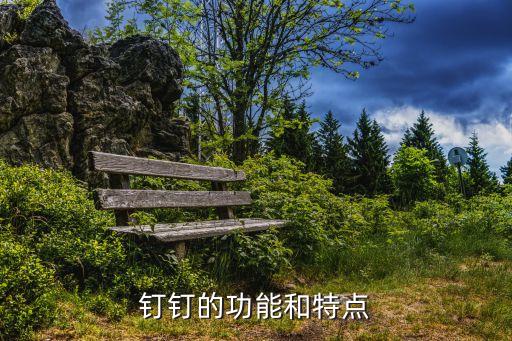 釘釘?shù)墓δ芎吞攸c(diǎn)