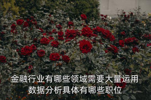  金融行業(yè)有哪些領(lǐng)域需要大量運(yùn)用 數(shù)據(jù)分析具體有哪些職位