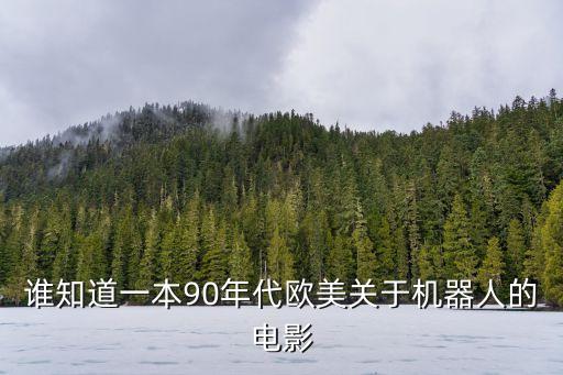 誰知道一本90年代歐美關(guān)于機(jī)器人的電影