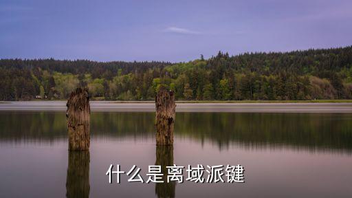 什么是離域派鍵