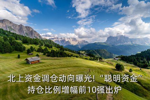 速馳自動(dòng)化設(shè)備,寶馳自動(dòng)化設(shè)備有限公司