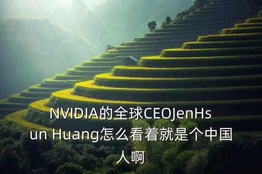 黃仁勛，黃仁勛的人物經(jīng)歷