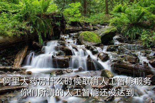阿里大藥房什么時候取消人工智能服務(wù)你們所謂的人工智能還沒達到