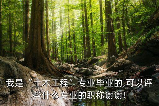 我是“土木工程”專業(yè)畢業(yè)的,可以評些什么專業(yè)的職稱謝謝!