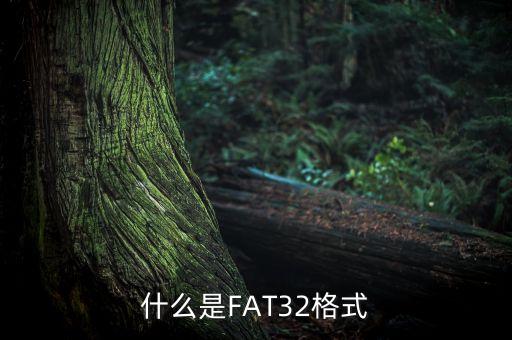 什么是FAT32格式