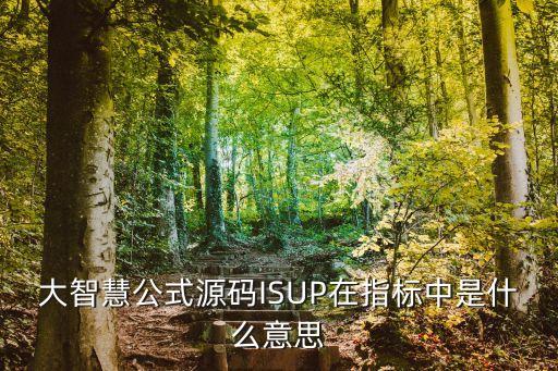 大智慧公式源碼ISUP在指標(biāo)中是什么意思