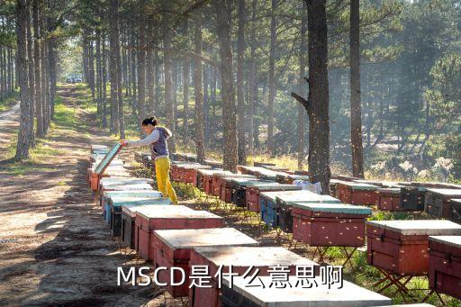 MSCD是什么意思啊