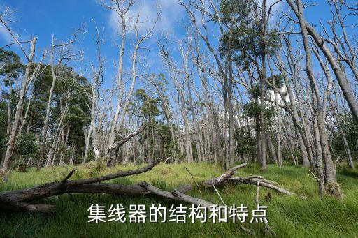 集線器的結(jié)構(gòu)和特點