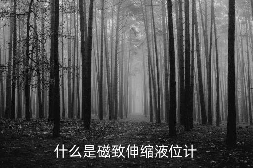 磁致伸縮，鐵心硅鋼片的磁致伸縮是什么