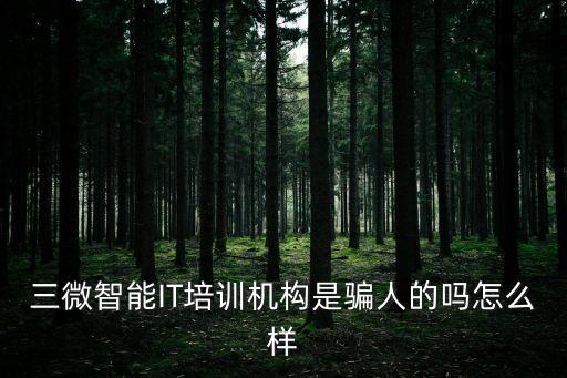 三微智能IT培訓機構(gòu)是騙人的嗎怎么樣