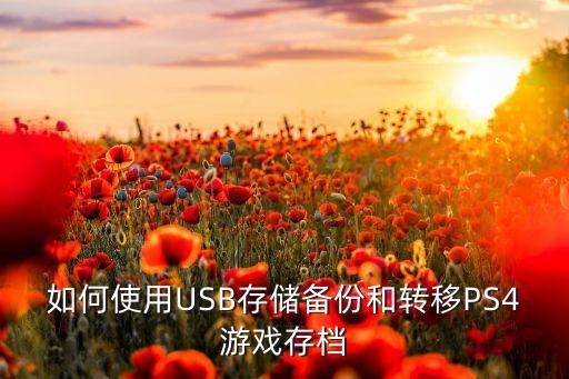 如何使用USB存儲備份和轉(zhuǎn)移PS4游戲存檔