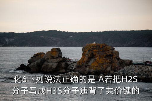 化6下列說法正確的是 A若把H2S分子寫成H3S分子違背了共價鍵的