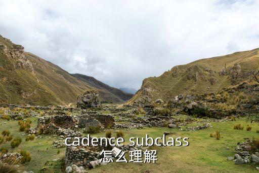 cadence subclass 怎么理解