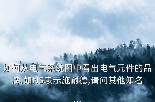 如何從電氣系統(tǒng)圖中看出電氣元件的品牌,如NS表示施耐德,請問其他知名...