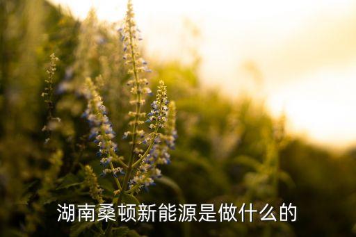 湖南桑頓新能源是做什么的