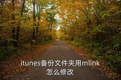 itunes備份文件夾用mlink怎么修改
