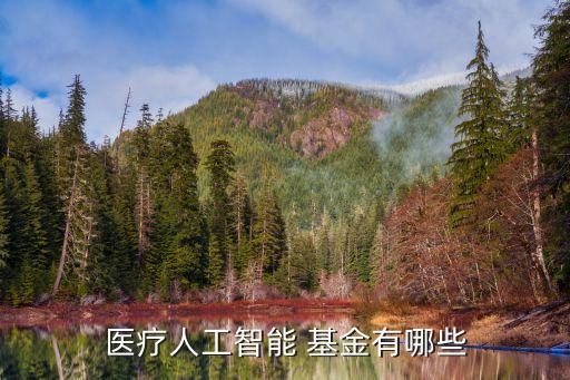 醫(yī)療人工智能 基金有哪些