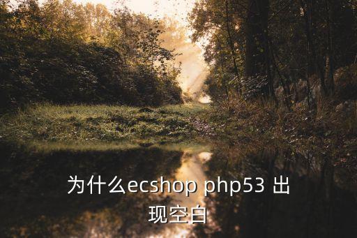 為什么ecshop php53 出現(xiàn)空白