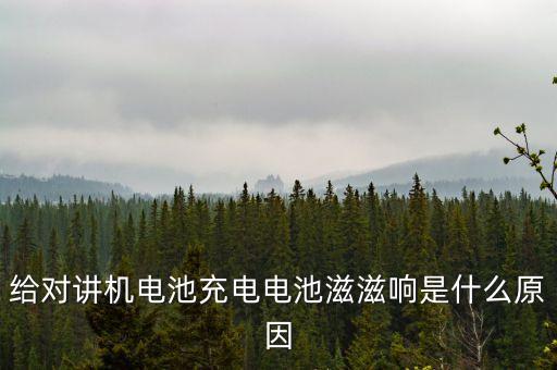 給對講機(jī)電池充電電池滋滋響是什么原因