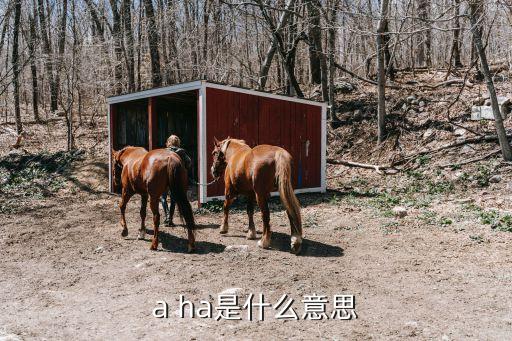 a ha是什么意思