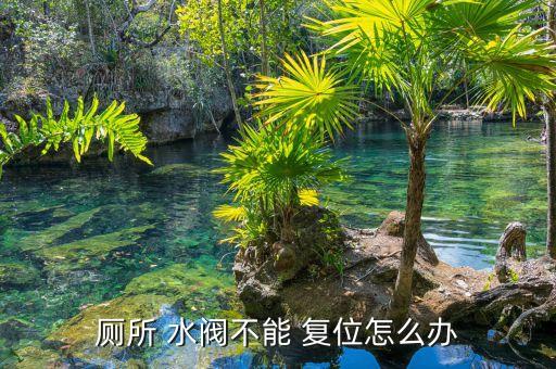 自動(dòng)化自復(fù)位電動(dòng)水閥公司